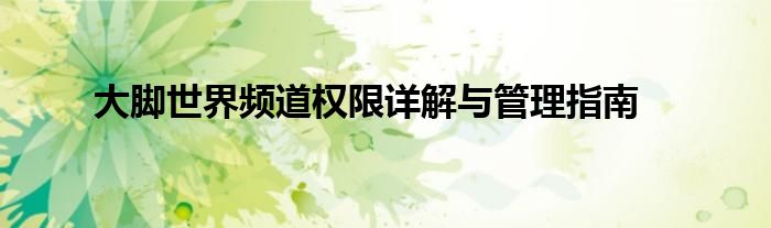 大脚世界频道权限详解与管理指南