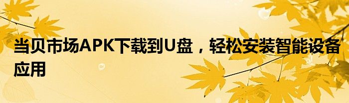 当贝市场APK下载到U盘，轻松安装智能设备应用