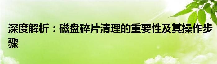 深度解析：磁盘碎片清理的重要性及其操作步骤