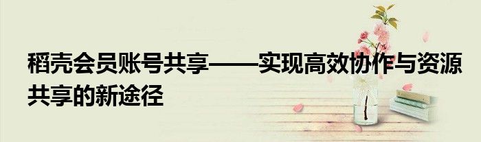 稻壳会员账号共享——实现高效协作与资源共享的新途径