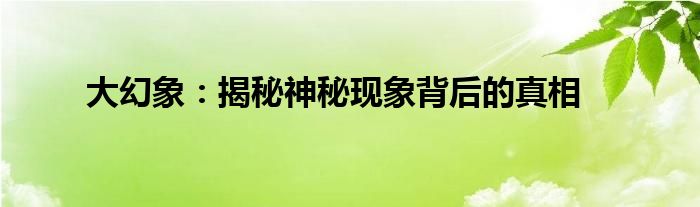 大幻象：揭秘神秘现象背后的真相