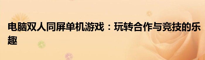 电脑双人同屏单机游戏：玩转合作与竞技的乐趣