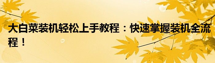 大白菜装机轻松上手教程：快速掌握装机全流程！