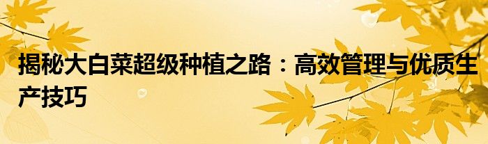 揭秘大白菜超级种植之路：高效管理与优质生产技巧