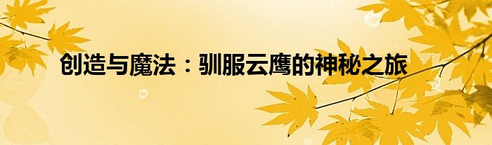 创造与魔法：驯服云鹰的神秘之旅