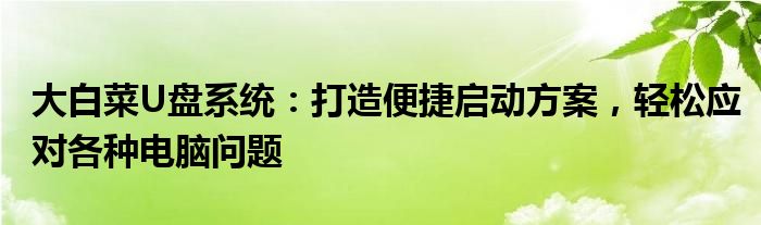 大白菜U盘系统：打造便捷启动方案，轻松应对各种电脑问题