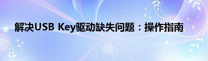 解决USB Key驱动缺失问题：操作指南