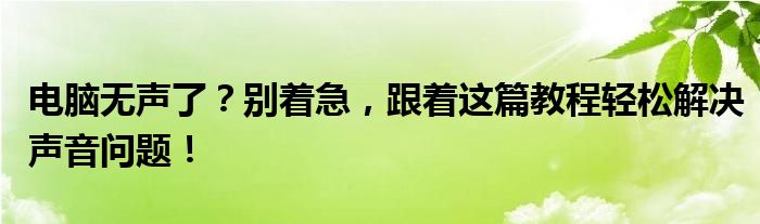 电脑无声了？别着急，跟着这篇教程轻松解决声音问题！