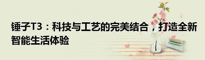 锤子T3：科技与工艺的完美结合，打造全新智能生活体验