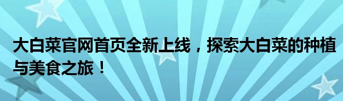 大白菜官网首页全新上线，探索大白菜的种植与美食之旅！