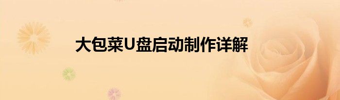 大包菜U盘启动制作详解