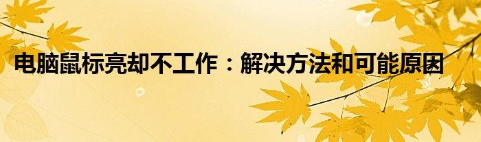 电脑鼠标亮却不工作：解决方法和可能原因