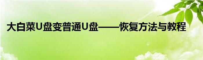 大白菜U盘变普通U盘——恢复方法与教程