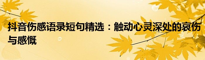 抖音伤感语录短句精选：触动心灵深处的哀伤与感慨