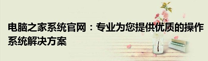 电脑之家系统官网：专业为您提供优质的操作系统解决方案