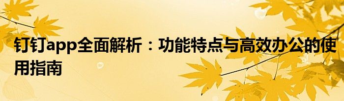 钉钉app全面解析：功能特点与高效办公的使用指南