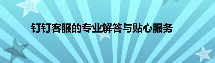 钉钉客服的专业解答与贴心服务