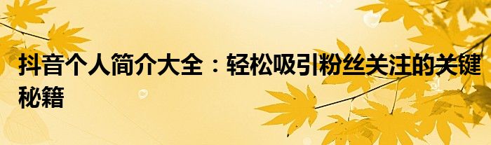 抖音个人简介大全：轻松吸引粉丝关注的关键秘籍