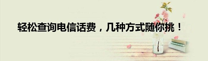 轻松查询电信话费，几种方式随你挑！