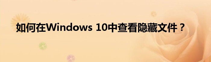 如何在Windows 10中查看隐藏文件？