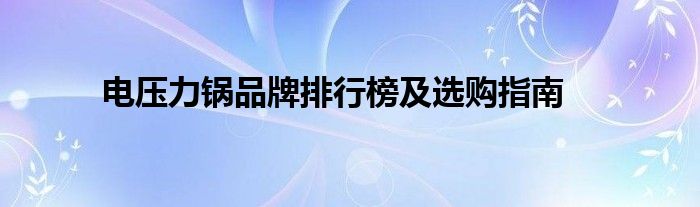 电压力锅品牌排行榜及选购指南