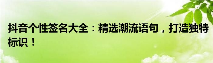 抖音个性签名大全：精选潮流语句，打造独特标识！