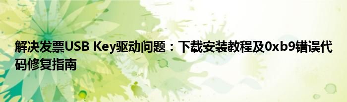 解决发票USB Key驱动问题：下载安装教程及0xb9错误代码修复指南