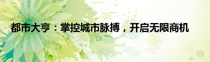 都市大亨：掌控城市脉搏，开启无限商机
