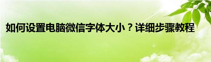 如何设置电脑微信字体大小？详细步骤教程