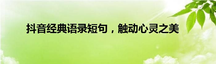 抖音经典语录短句，触动心灵之美
