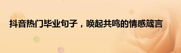 抖音热门毕业句子，唤起共鸣的情感箴言