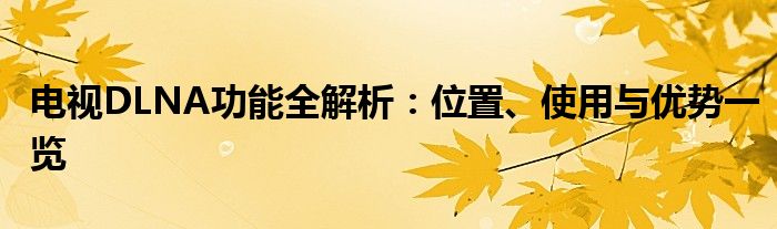电视DLNA功能全解析：位置、使用与优势一览