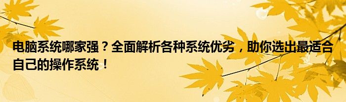 电脑系统哪家强？全面解析各种系统优劣，助你选出最适合自己的操作系统！