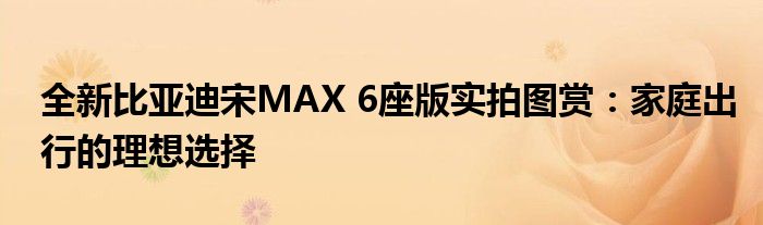 全新比亚迪宋MAX 6座版实拍图赏：家庭出行的理想选择