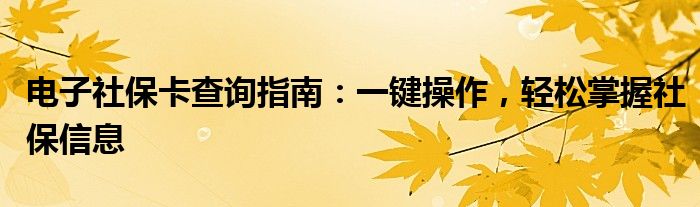 电子社保卡查询指南：一键操作，轻松掌握社保信息