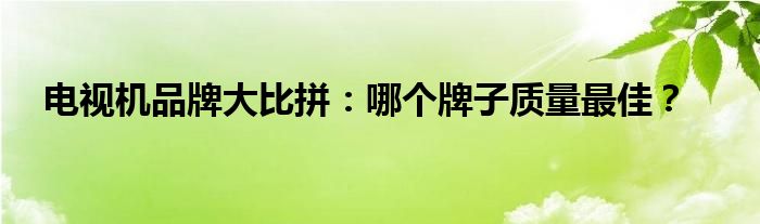 电视机品牌大比拼：哪个牌子质量最佳？