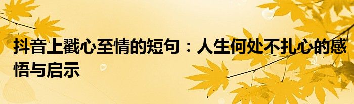 抖音上戳心至情的短句：人生何处不扎心的感悟与启示