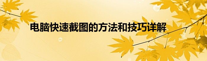 电脑快速截图的方法和技巧详解