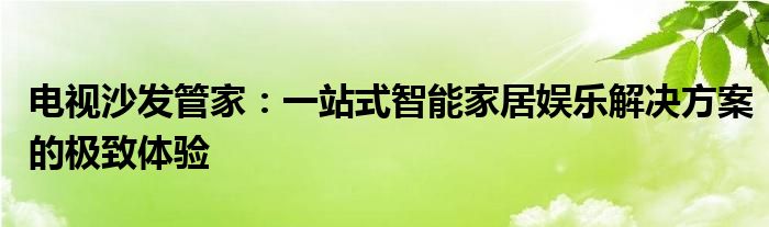 电视沙发管家：一站式智能家居娱乐解决方案的极致体验