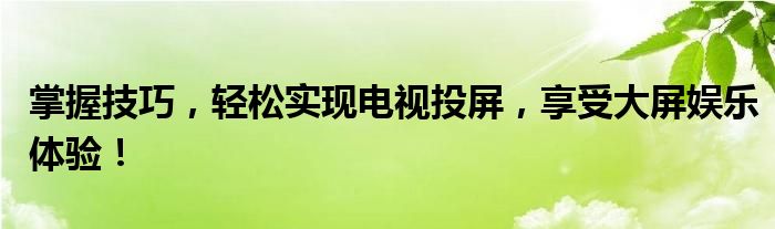 掌握技巧，轻松实现电视投屏，享受大屏娱乐体验！