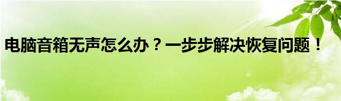 电脑音箱无声怎么办？一步步解决恢复问题！