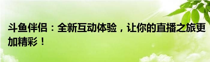 斗鱼伴侣：全新互动体验，让你的直播之旅更加精彩！