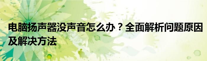 电脑扬声器没声音怎么办？全面解析问题原因及解决方法