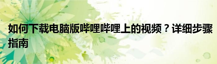 如何下载电脑版哔哩哔哩上的视频？详细步骤指南