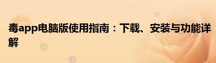 毒app电脑版使用指南：下载、安装与功能详解