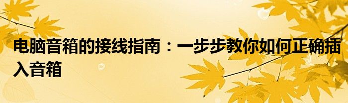 电脑音箱的接线指南：一步步教你如何正确插入音箱