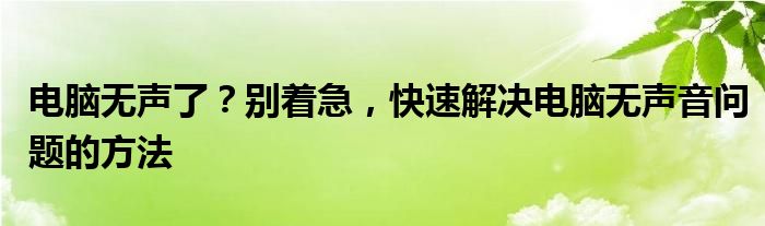 电脑无声了？别着急，快速解决电脑无声音问题的方法