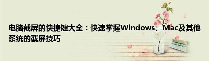 电脑截屏的快捷键大全：快速掌握Windows、Mac及其他系统的截屏技巧