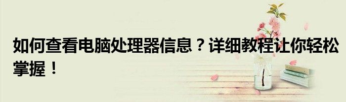 如何查看电脑处理器信息？详细教程让你轻松掌握！