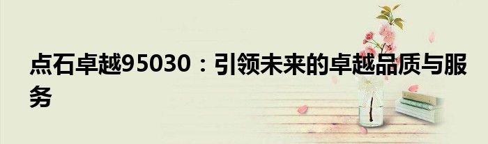 点石卓越95030：引领未来的卓越品质与服务